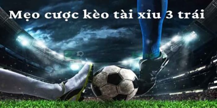 Mẹo chơi kèo tài xỉu 3 trái hiệu quả nhất từ chuyên gia